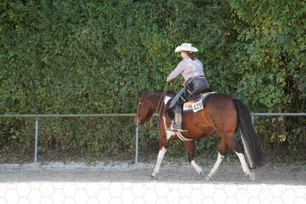 s_A_908300.JPG